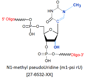 picture of N1-methyl pseudoUridine (m1-psi rU)